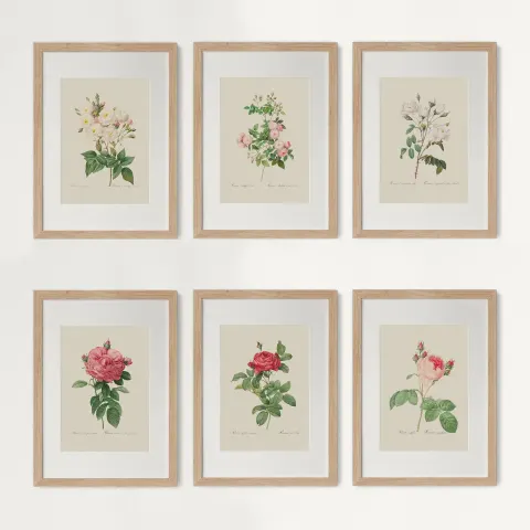 Vintage Floral Botanical Canvas Print