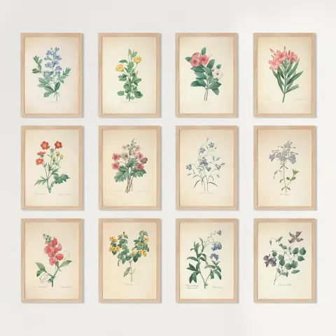 French Country Botanical Canvas Prints