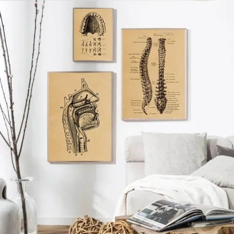 Vintage Muscular & Skeletal Anatomy Print