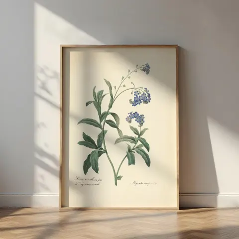 Vintage Forget-Me-Not Canvas Print