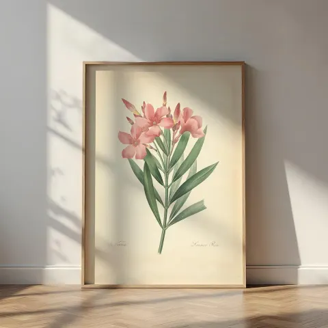 Vintage Nerium Oleander Canvas Print